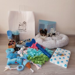 0bcdeb74-1112-43be-8dfe-6aaa049aef63