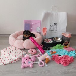 a85503ea-c835-4154-8f8b-72a65ff3fb6d