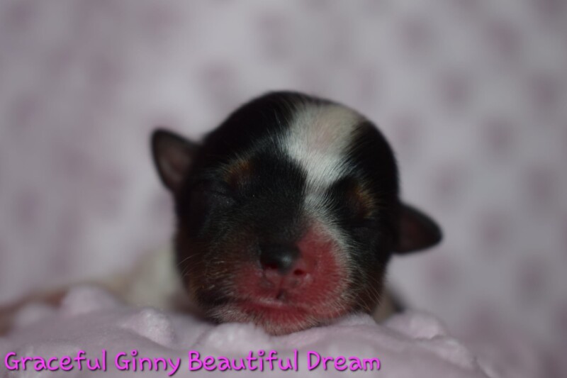ginny