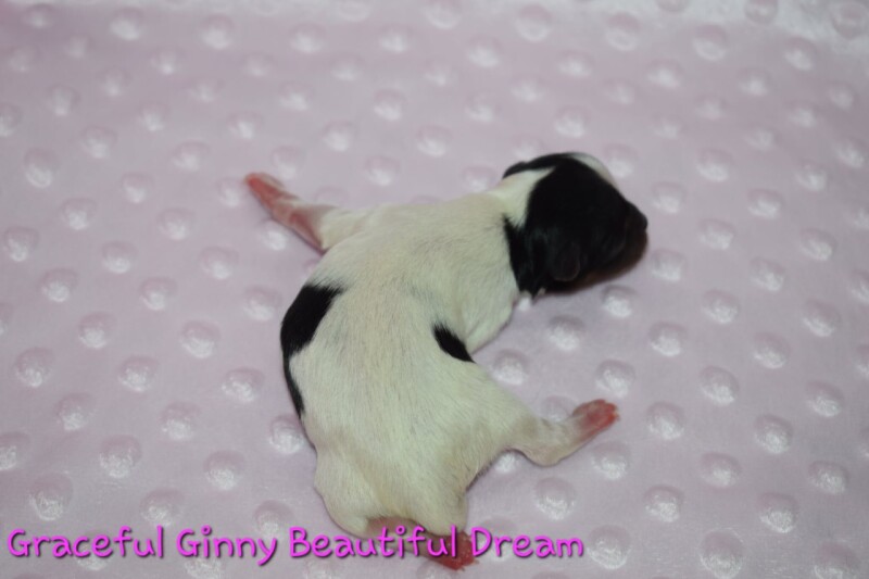 ginny1