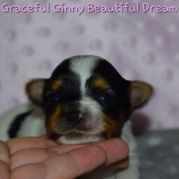 ginny