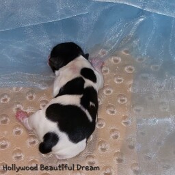 587114423_25340815085514608_611686022190777723_n