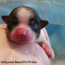 587139519_25340810995515017_5566018762384448227_n