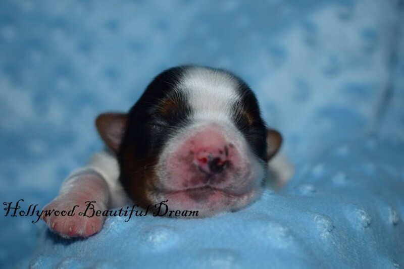 591015656_25388478497414933_6742076505462851194_n