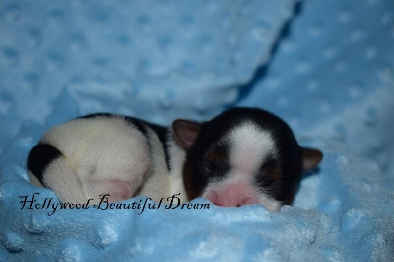 591259919_25388478247414958_3047893767528691382_n