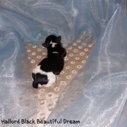 587107470_25340818625514254_6000637576387674088_n