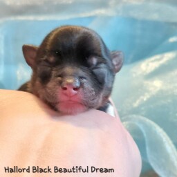 587115102_25340816215514495_4240785389035911548_n