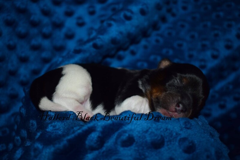 590779155_25388478024081647_6362921703222606366_n