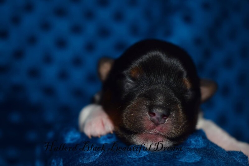 591347228_25388477874081662_8697834929982772210_n