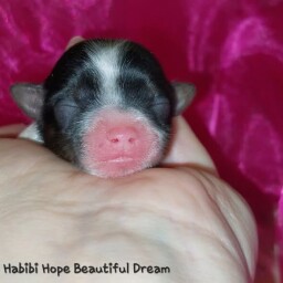 588711426_25340810258848424_1932699598321736298_n