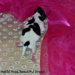 589170653_25340817365514380_2976552528873872845_n