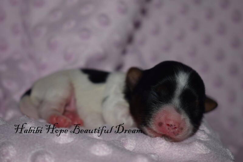 590925232_25388477694081680_2993983361396613206_n