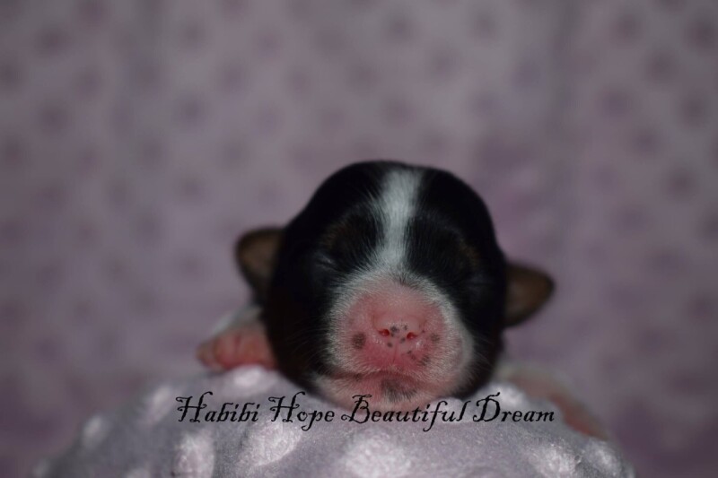 591267190_25388477474081702_1054824734482927666_n