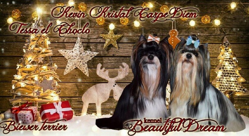 573285315_25101338289462290_4441233302796448423_n